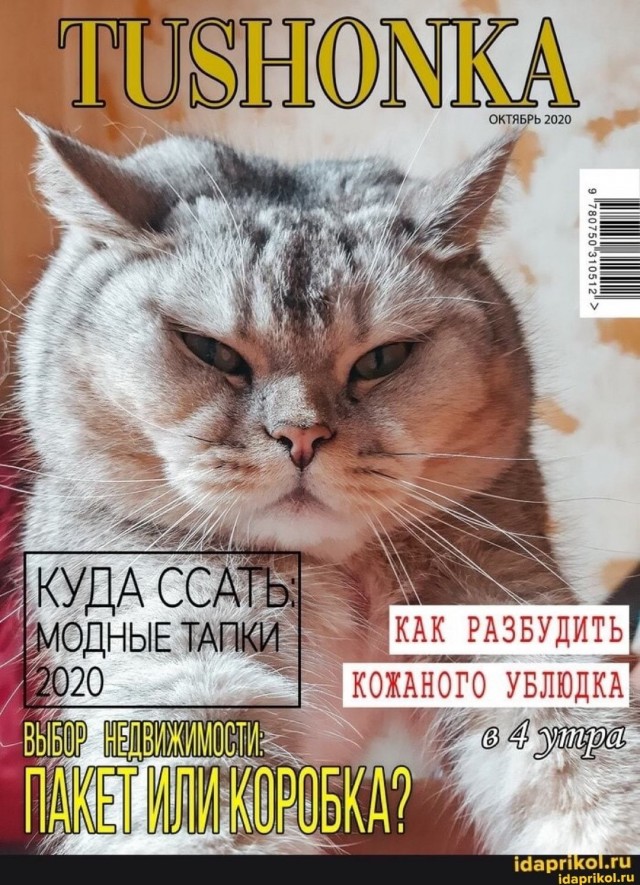 Прикольные и просто красивые картинки 31.10.2025