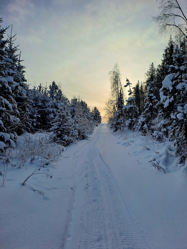 Зимняя дорога