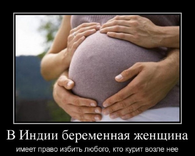 Так себе картинки 26.02.26