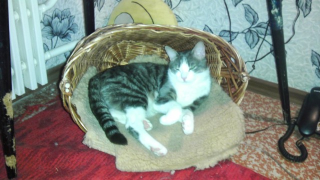 Праздничная корзинка.