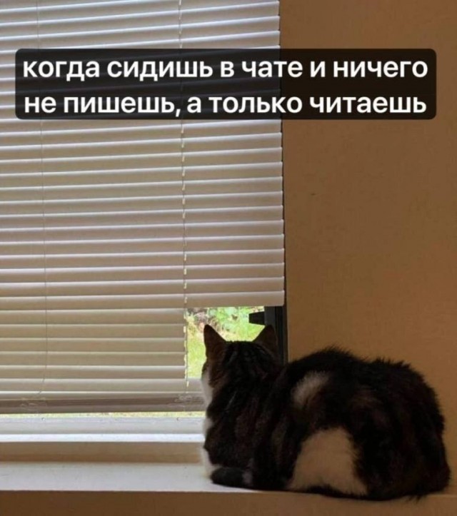 Воскресные картинки