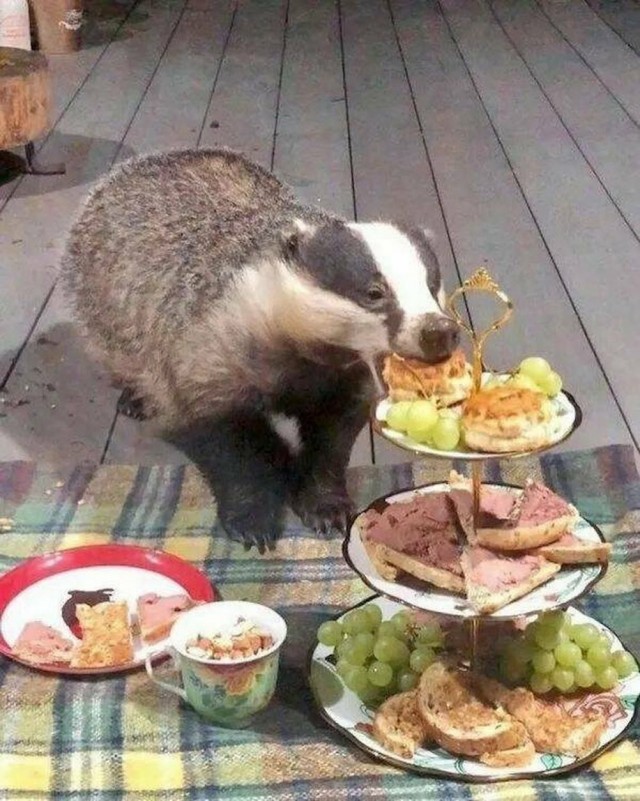 Я вспомнил!
