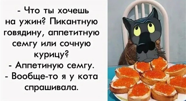 «Купила коту консервы⁠⁠»