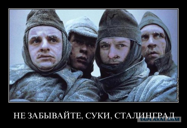 Тысячи немцев заступились за Россию.