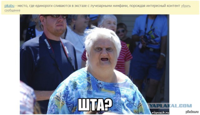 Поколение ЕГЭ