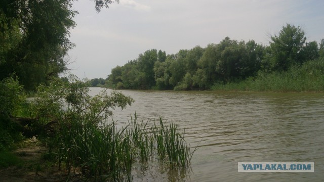Немного рыбалки под Астраханью