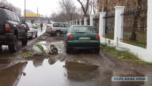 Водители-свиньи!