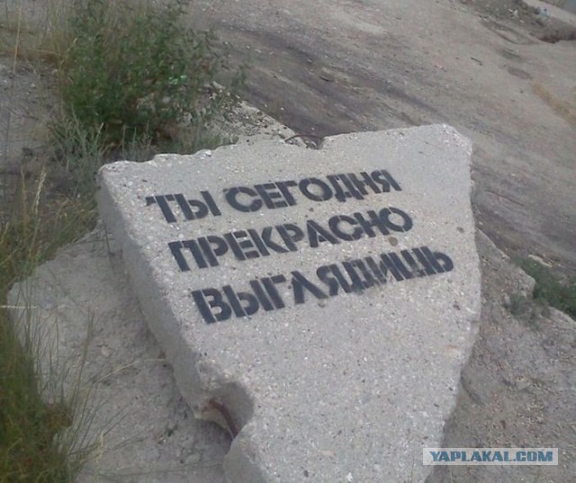 Картинок пачка