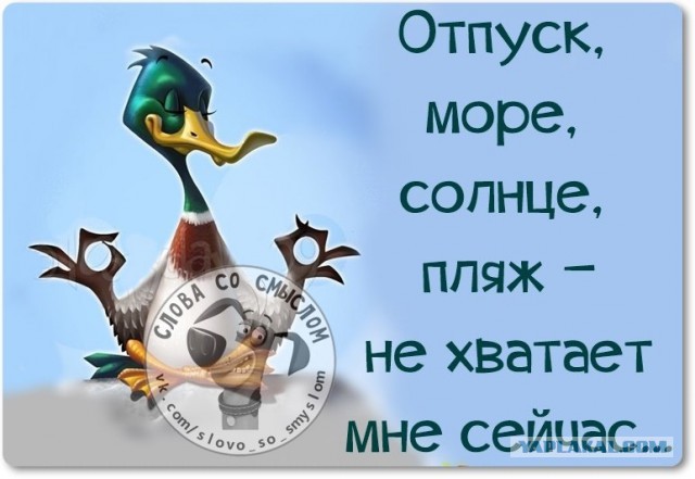 Веселые жизненные наблюдения из Вредного журнала