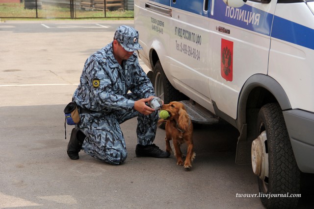 Центр кинологической службы Упр-ния на транспорте