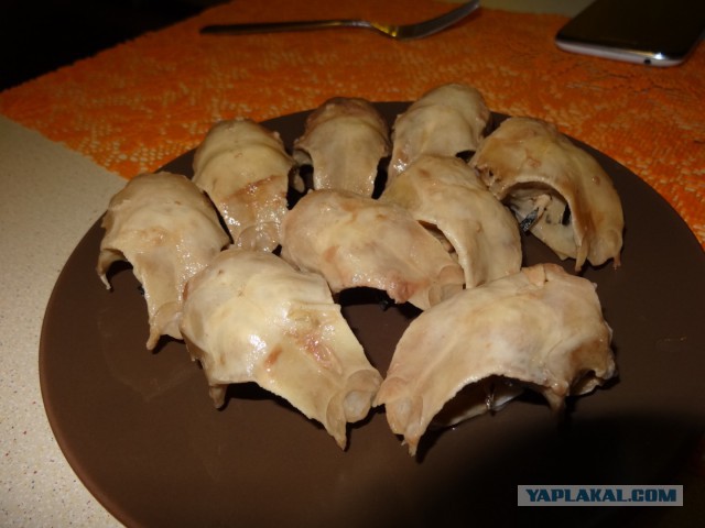 Мозги в панировке