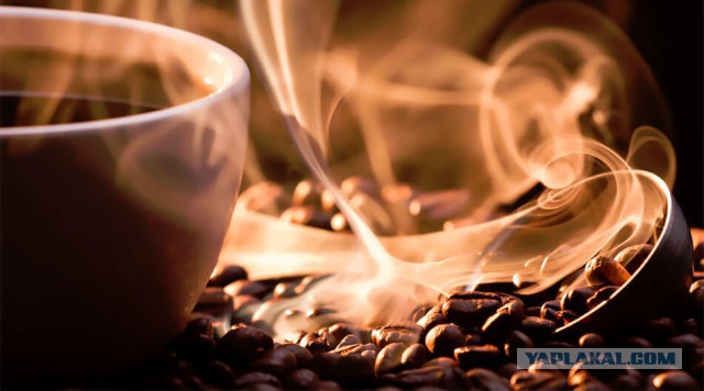 А давайте поговорим о жизни