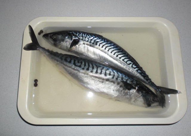 Копченая скумбрия