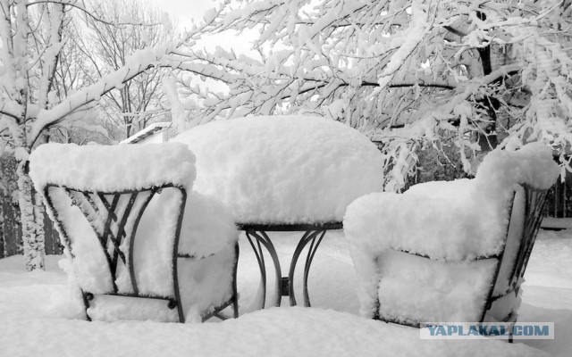 Картинки всякие