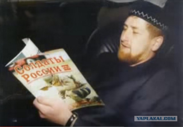 «Если бы не демократия»: моськи и овчарки Кадырова