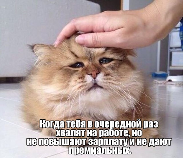 Новая подборка картинок