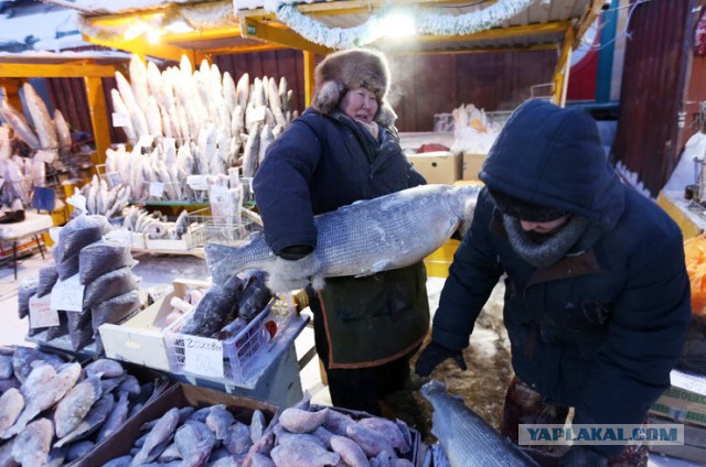 Поляки и холод