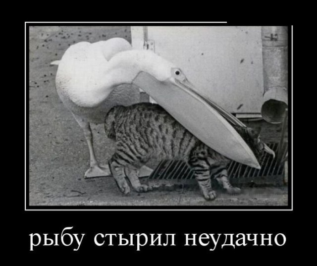 Коротко о неудачах