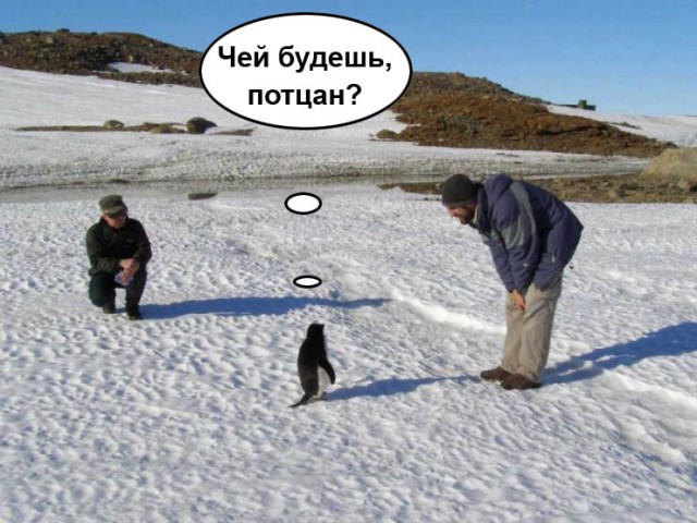 Фотожаба: Полярники окружают!