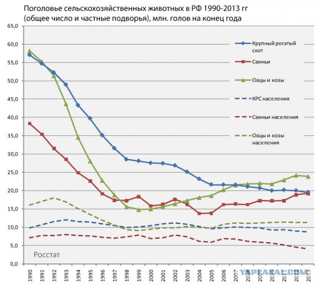 Участники тракторного марша в СИЗО
