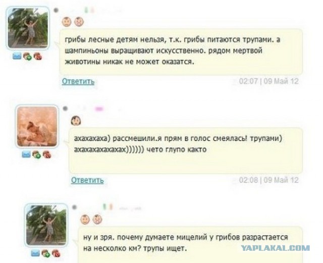 Грибы глазами степного человека