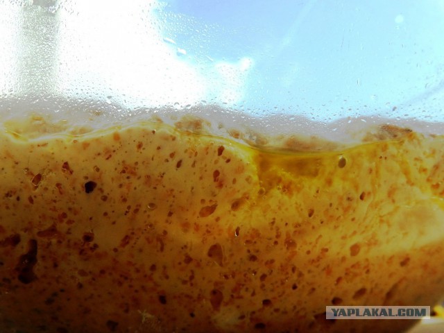 Мировая кулинария. День повара