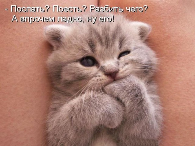 Картинки из инета