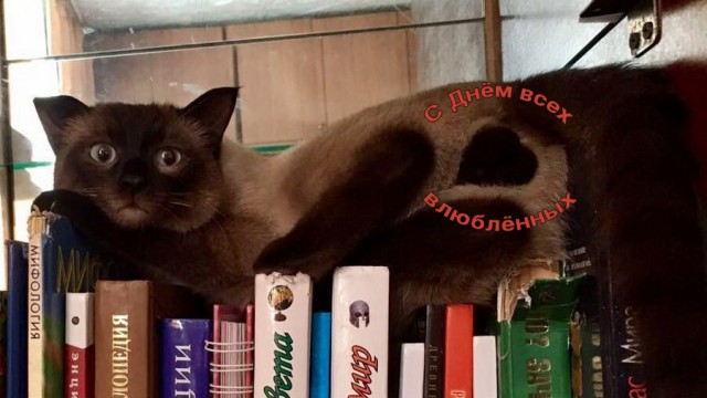 Подборка интересных и веселых картинок