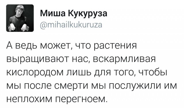Некоторые наблюдения и высказывания
