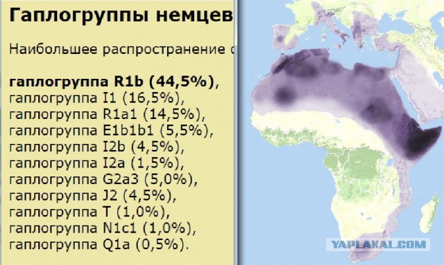Реакция людей узнавших о расхождении ДНК с их национальностью