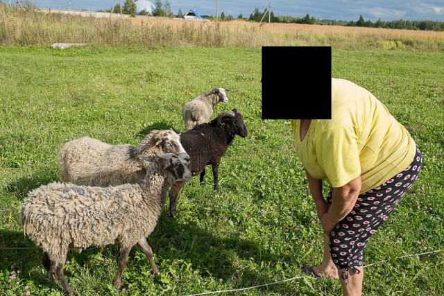Как я отдохнул на задворках Родины. Город Велиж.