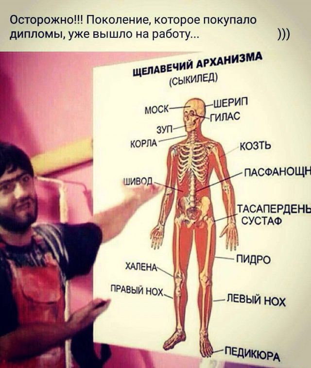 Немного картинок с веселыми надписями