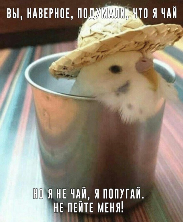 Оп! Нас накрыла тяжёлая наркомания!