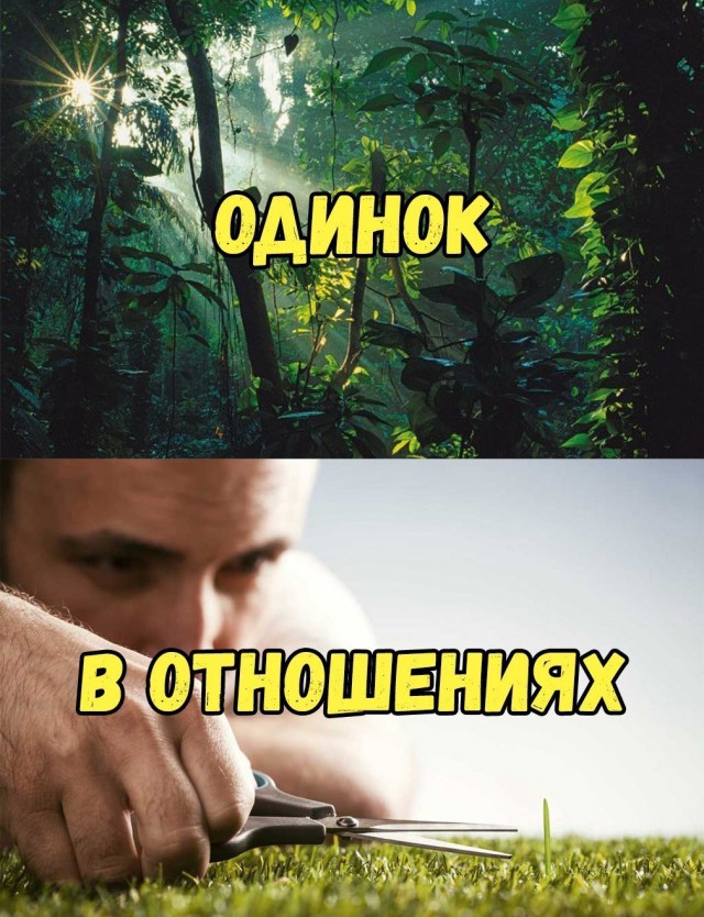 Сотка