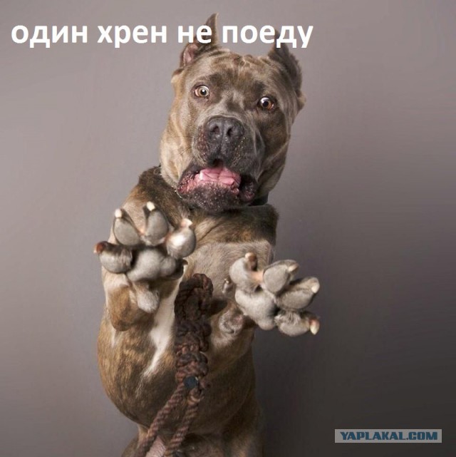 Корейский образ жизни