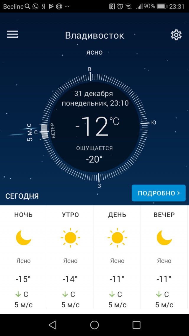 Новогодняя погода. У кого как, у нас вот