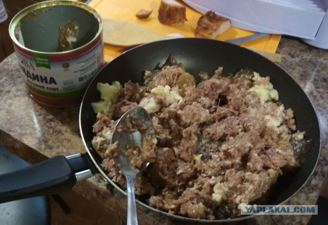 51 банка тушенки