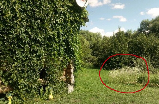 Дача и окрестности