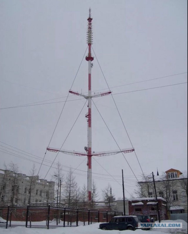 В Архангельске повесили чучело с подписью «Когда же вы нажрётесь, чайки?»