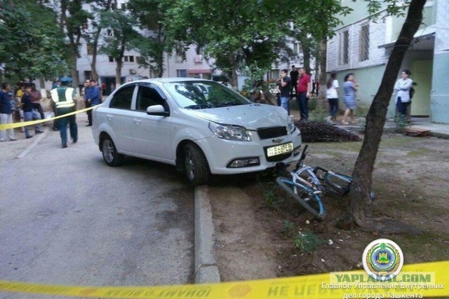 В Коломне женщина перепутала педали и пошалила
