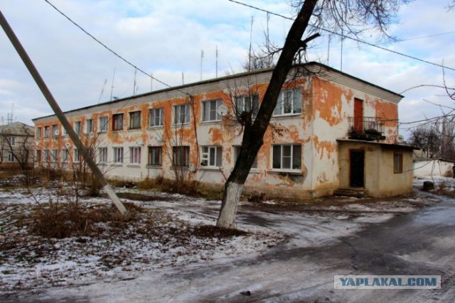 Как выглядит зона отчуждения Фукусимы через 8 лет после катастрофы