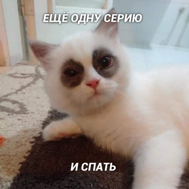 Картинки с надписями, истории и анекдоты 04.10.19
