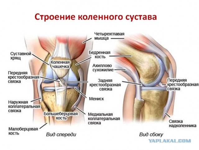 В этом мире ещё так много интересного