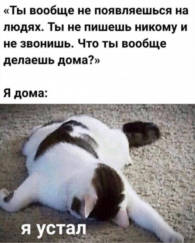 Немного картинок для настроения 11.11.20