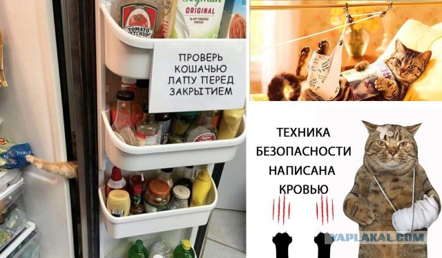 Бредзона 23.11.20