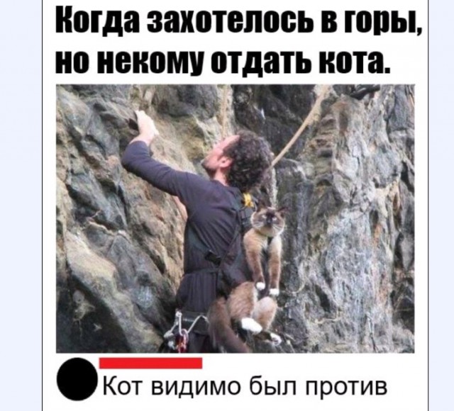 Картинки и мемы для настроения 009