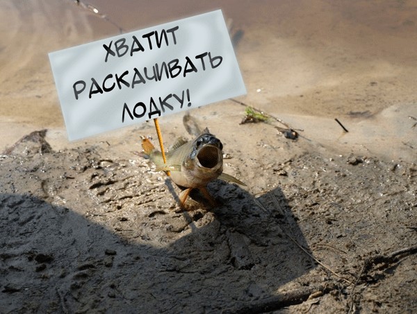 Фотожаба: "Чо?"