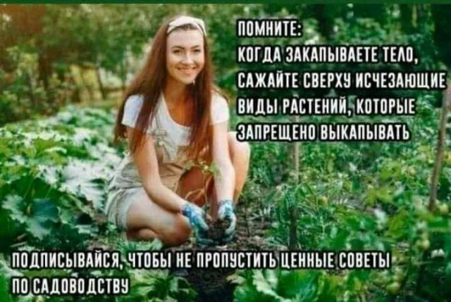 Бредзона 15.02.21