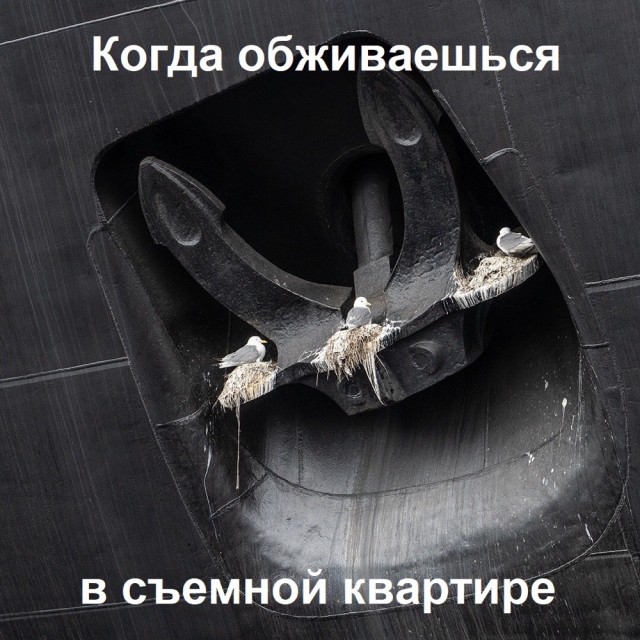 Картинки и мемы для настроения 09.08.2021