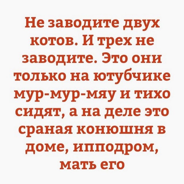 Юмор в картинках 24.08.21